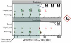 Tyre-Tread Particles: A Hidden Threat to Aquatic Life