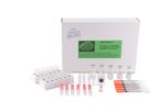 Microbiotests - Model Protoxkit F - Ciliated Protozoan Toxicity Test
