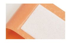 Ahlstrom - Wound Care