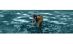 Intertidal Ecology
