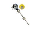 APG - Model Series RP - Explosion Proof Resistive Level Transmitter with 1/2