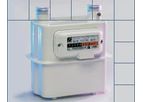 Model GT 2.5 - Domestic Meters