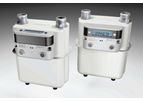 Model GWi - Smart Gas Meters