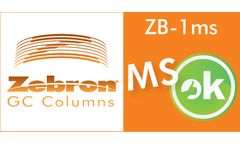 Zebron - Model ZB-1MS - Fused Silica GC Column