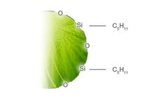 Luna - Model C5 Phase - HPLC Columns