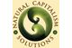 Natural Capitalism Solutions