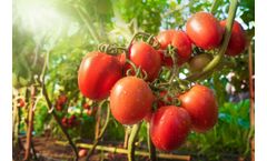 Drinking water and wastewater treatment solutions for agriculture and greenhouses sector