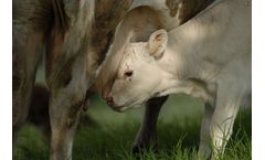 Drinking water and wastewater treatment solutions for animal production sector