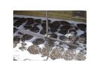 Moving Bed Biofilm Reactor MBBR