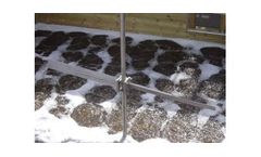 Moving Bed Biofilm Reactor MBBR