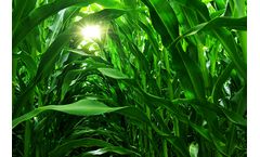 Agitation technology solutions for biogas industry