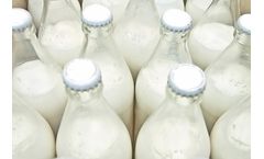 Agitation technology solutions for food & dairy industry