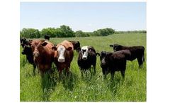 Plasma Recycling System for Agriculture