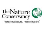 Forests Protecting Services