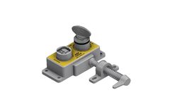 Castell - Model AIE - Dual Key Access Interlock