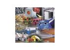 Process Development and Testing Services