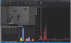 EDAX - Version APEX - Software for EDS/EDX