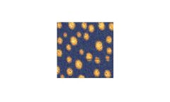 Atomic force microscopy solutions for Polymer films sector