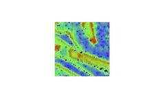 Nanoscale identification of MoS2 layers and defects sector