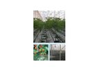 Commercial Greenhouse Applications