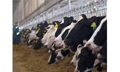 Veolia extends water reuse process for leading Qatari dairy producer Baladna, reducing their water consumption by more than 50%