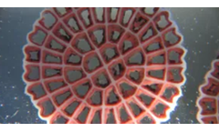 Veolia Anita Mox - Sustainable Deammonification Anammox Process System