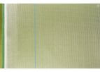 Cotexa-Alcalaina - Insect Net