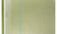 Cotexa-Alcalaina - Insect Net