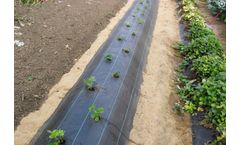 Cotexa-Alcalaina - Ground Cover Fabric