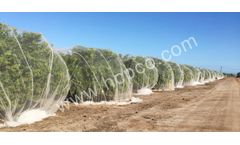 Huachang-Yarns - Anti Bee Net