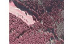 3D Forestry made in Germany