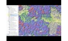 3D Forest Inventory - Tree Heights, DBH and Volume 