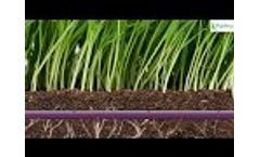 Introduction to Wastewater Drip Distribution - Ireland & UK Video