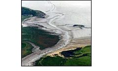 Outfalls Services