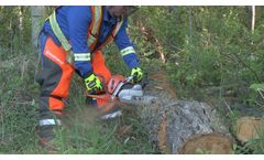 Chainsaw Safety (OSHA) Online Courses