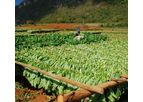Comas - Tobacco Leaf Handling Systems