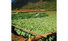 Comas - Tobacco Leaf Handling Systems