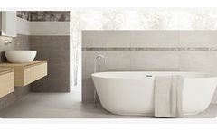 Fortune-Biotech - Model CMC - Ceramic Grade Carboxymethyl Cellulose