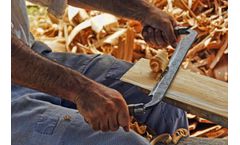 Harvest biomass for renewable energy solutions for furniture industry