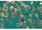 E-Grind - Metal Bond Mesh Diamond Powder