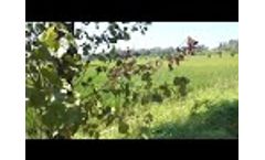 Agriclutre drone T1-10L Black Hawk operation  - Video