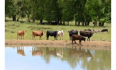 Pondseal - Natural Unaltered High Swelling Sodium Bentonite