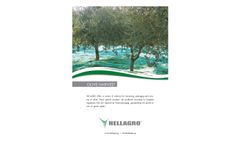 Olive Harvest  Brochure