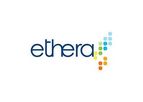 Air Quality Data Management Platform