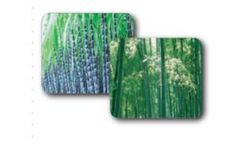 Lihua - Materials of Paper Pulp Tray