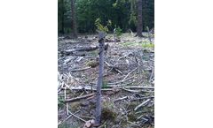 Verdura - Tree Protector