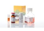 Promega - Model IL-15 - Bioassay Cells