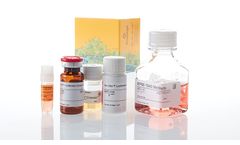 Promega - Model IL-15 - Bioassay Cells