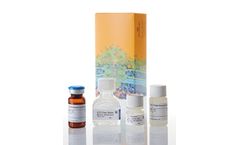 Promega ENLITEN - ATP Assay System