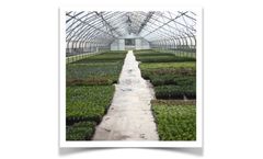 Greenhouse Wastewater